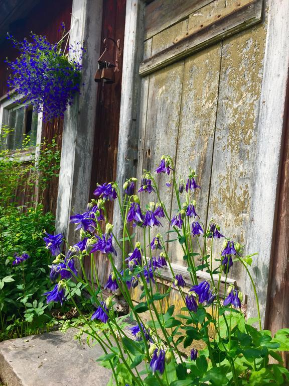 Johanssons Gardshotell I Roslagen 招待所 Osthammar