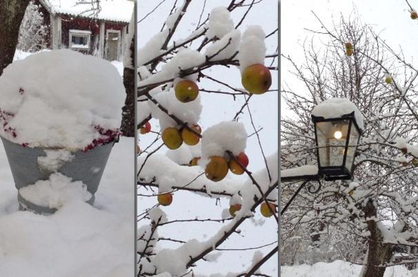 Johanssons Gardshotell I Roslagen 3*